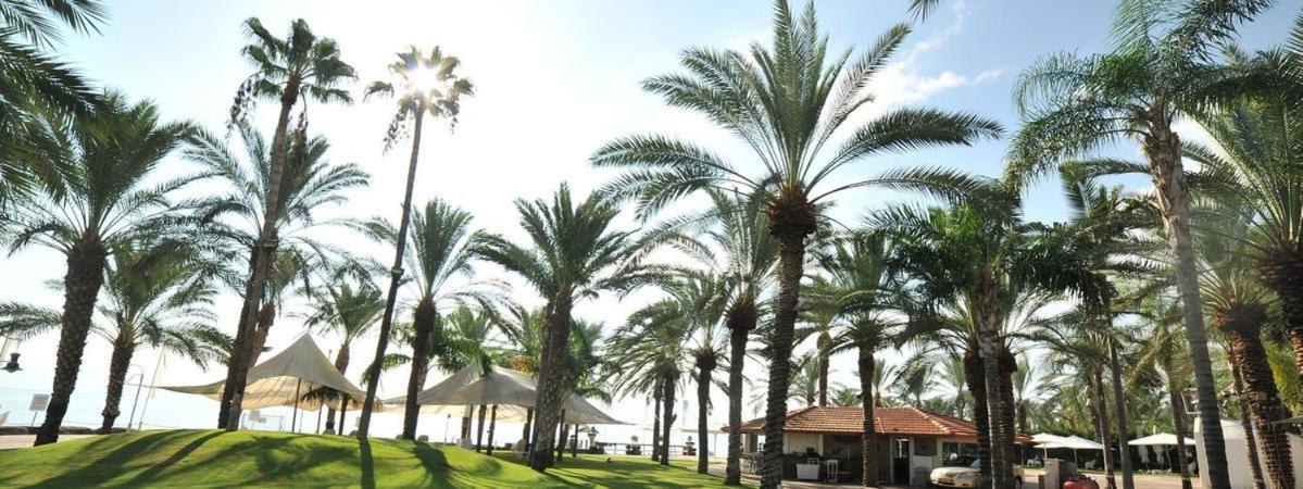 Kings Towers Blue Beach Tiberya Dış mekan fotoğraf